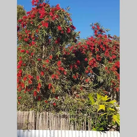 Leeward 'Tranquil Beachfront' Kingscote Exterior photo