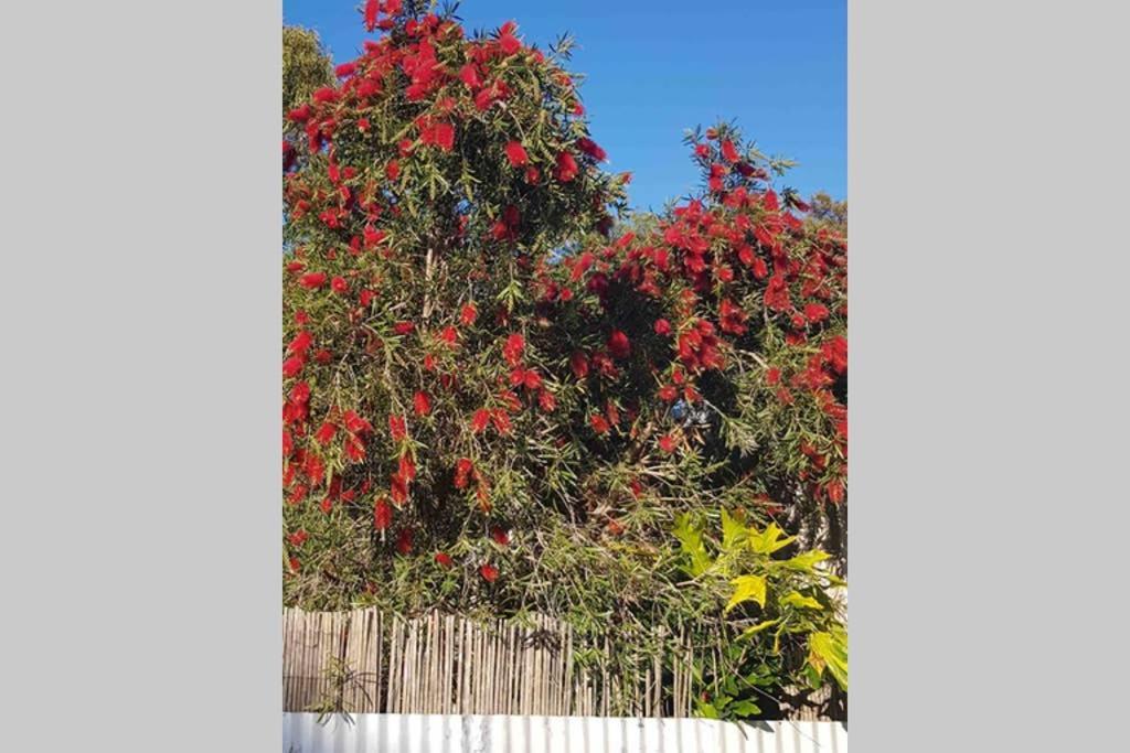 Holiday home Leeward 'tranquil Beachfront' *